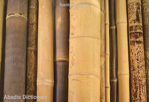 bamboo color